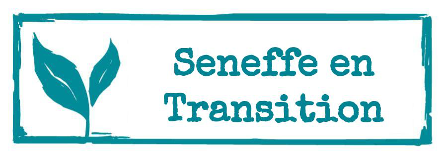 Seneffe en Transition